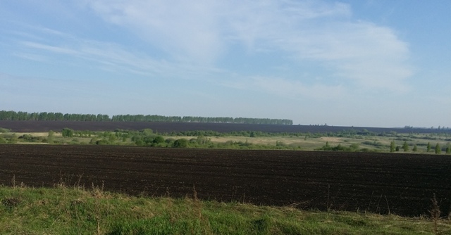 Никулино 1.jpg